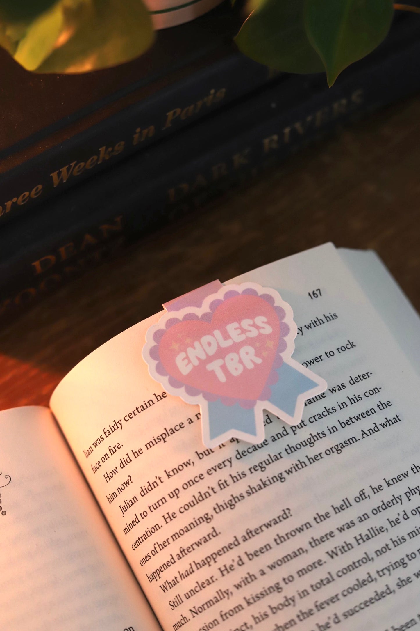 tbr magnetic bookmark