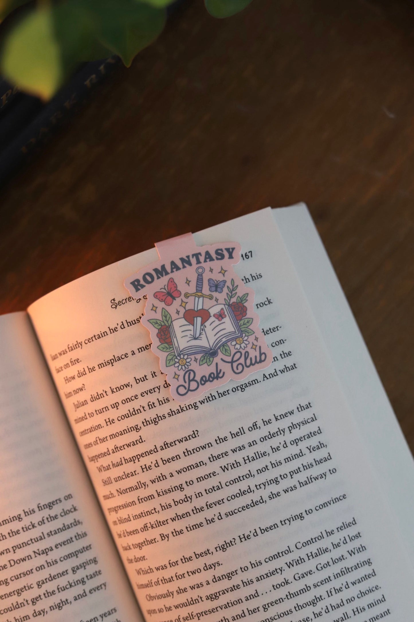 romantasy book club magnetic bookmark