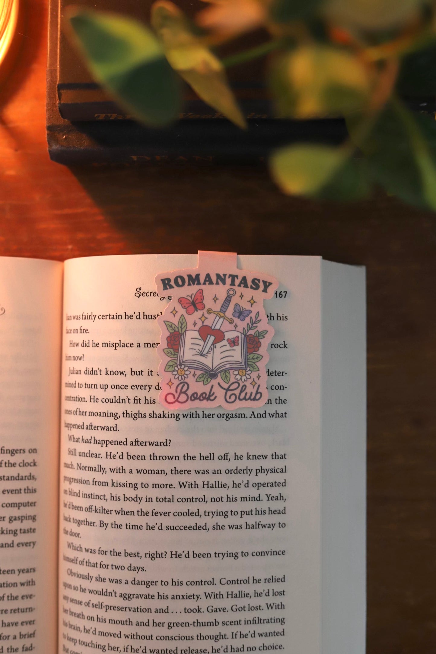 romantasy book club magnetic bookmark