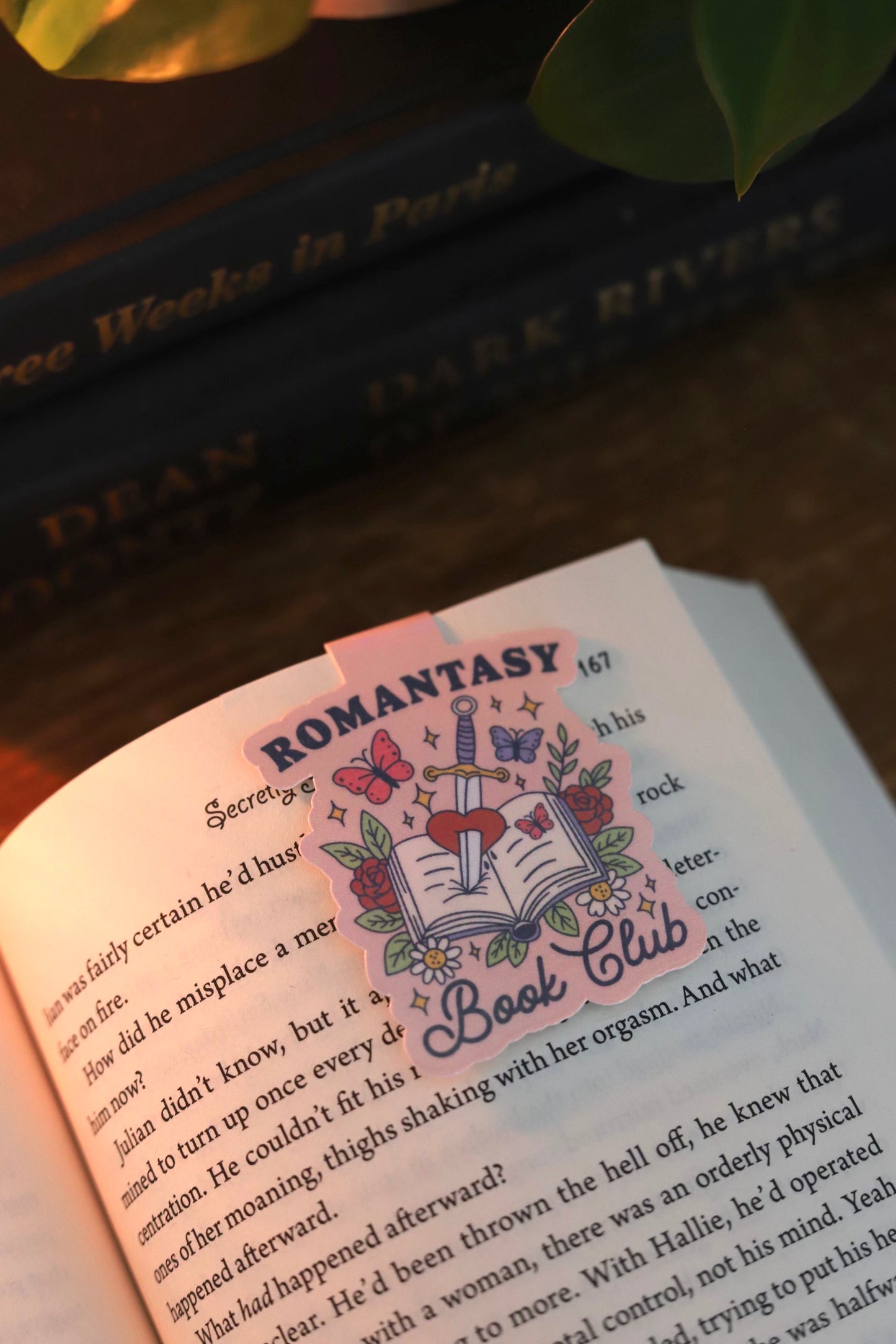 romantasy book club magnetic bookmark