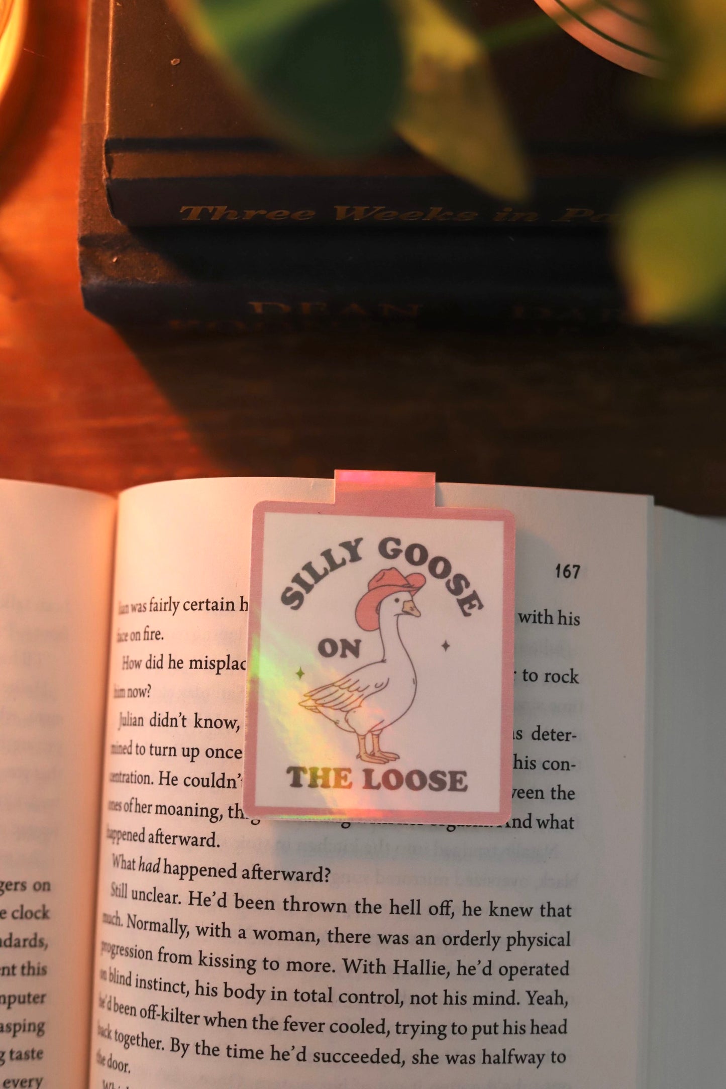 silly goose magnetic bookmark