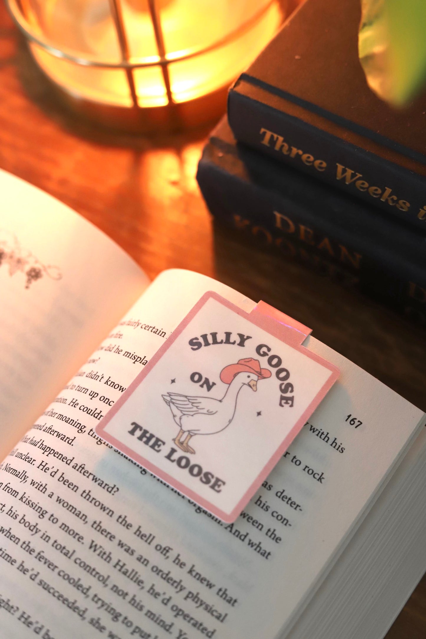 silly goose magnetic bookmark